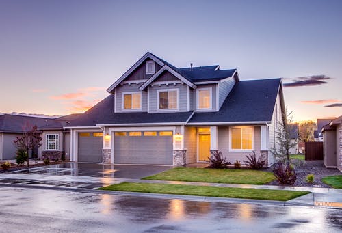 Mold Removal Guidelines You Should Follow