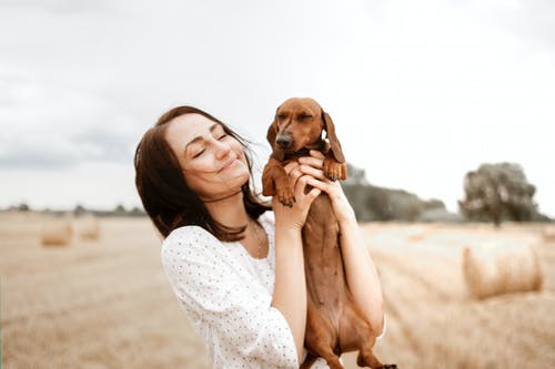 Exotic Pet Care: Five Exotic Pets You Should Know About