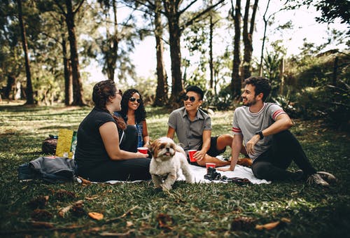 Routine Pet Checkups: What You Need to Know