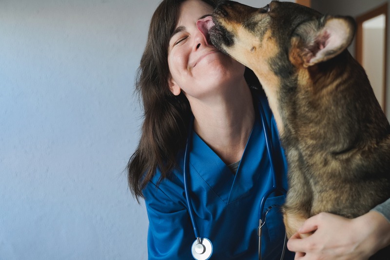 What Are the Basic Veterinary Services Every Pet Needs?